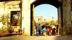 سفر با بچه مسافرتی ها - اقیانوسیه - نیوزیلند 2